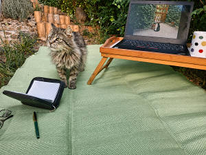 Kočka na venkovní dece při home office